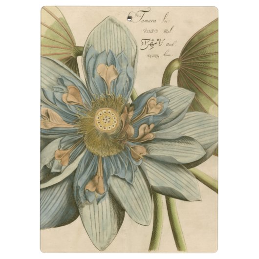 Blauer Lotos-Blume auf TAN-Hintergrund mit Klemmbrett (Rückseite)