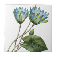 BLAUER LOTOS-BLUMEN TRIVET