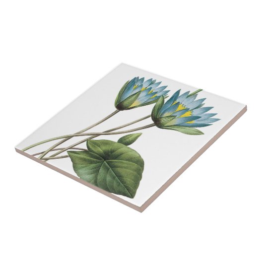 BLAUER LOTOS-BLUMEN TRIVET FLIESE (Seite)