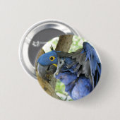Blauer Macaw-Knopf Button (Vorne & Hinten)
