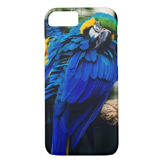 Blauer Macaw-Papagei, exotischer tropischer Vogel Case-Mate iPhone Hülle (Rückseite)
