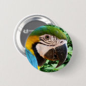 Blauer Macaw-Papageien-Knopf Button (Vorne & Hinten)
