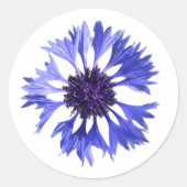 Blauer Maisblume Runder Aufkleber (Vorderseite)