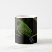 Blauer Maskade Leafbird-Tasse Kaffeetasse (Mittel)