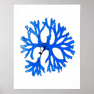 Blauer Meerespflanze-Druck-Nr. 5- botanischer Poster