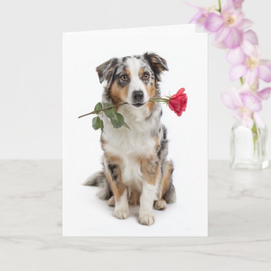 Blauer Merle Aussie Valentine – Ergebene Liebe Karte (Orchidee)