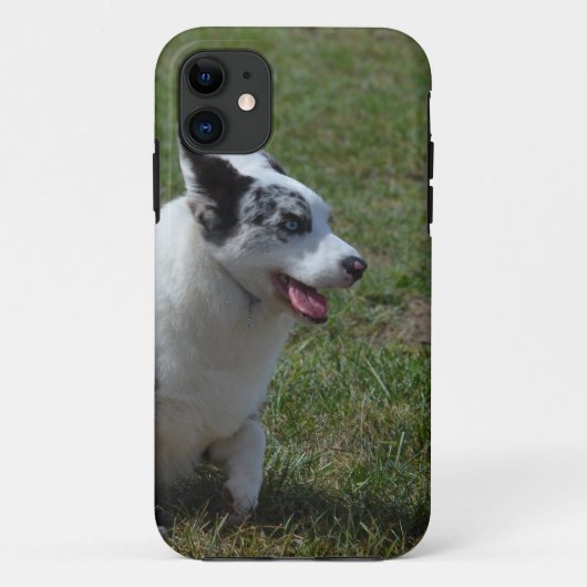 Blauer Merle Corgi-Hund Case-Mate iPhone Hülle (Rückseite)