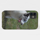 Blauer Merle Corgi-Hund Case-Mate iPhone Hülle (Rückseite (Horizontal))