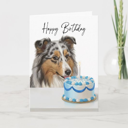 Blauer Merle Sheltie-Kucheninspektor Karte (Vorderseite)