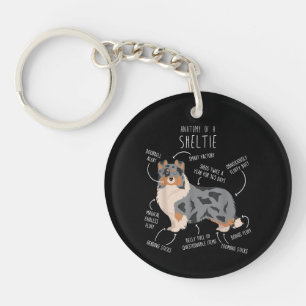 Blauer Merle Sheltie Shetland Sheepdog Anatomie, S Schlüsselanhänger