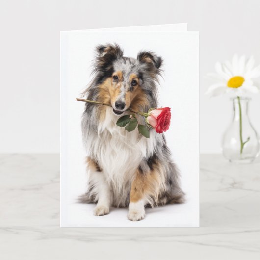 Blauer Merle Sheltie Valentine – Sanfte Hingabe Karte (Kleine Pflanze)