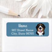 Blauer Mit Augen Berner Hund (Insitu)