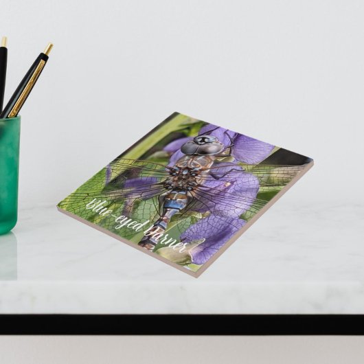 Blauer Mit Augen Darner Dragonfly auf der Blume Fliese