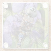Blauer Mit Augen Darner Dragonfly auf der Blume Glasuntersetzer (Rückseite)