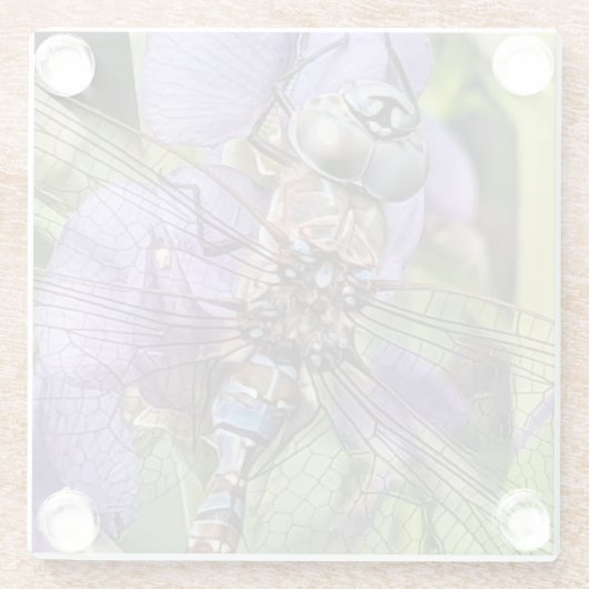 Blauer Mit Augen Darner Dragonfly auf der Blume Glasuntersetzer (Rückseite)