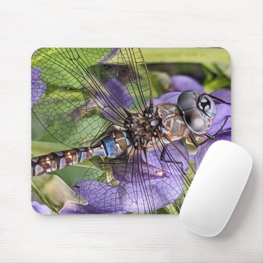 Blauer Mit Augen Darner Dragonfly auf der Blume Mousepad (Mit Mouse)