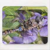 Blauer Mit Augen Darner Dragonfly auf der Blume Mousepad (Vorne)
