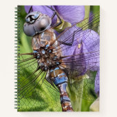 Blauer Mit Augen Darner Dragonfly auf der Blume Notizblock (Vorderseite)