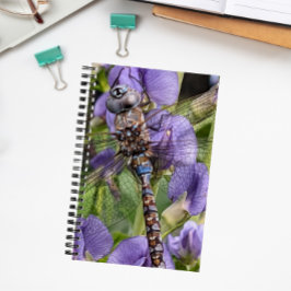 Blauer Mit Augen Darner Dragonfly auf der Blume Notizblock