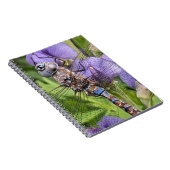 Blauer Mit Augen Darner Dragonfly auf der Blume Notizblock (Rechte Seite)