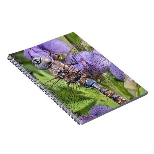 Blauer Mit Augen Darner Dragonfly auf der Blume Notizblock (Rechte Seite)