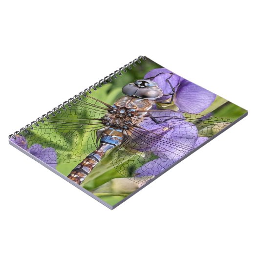 Blauer Mit Augen Darner Dragonfly auf der Blume Notizblock (Linke Seite)