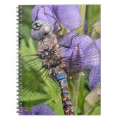 Blauer Mit Augen Darner Dragonfly auf der Blume Notizblock (Vorderseite)