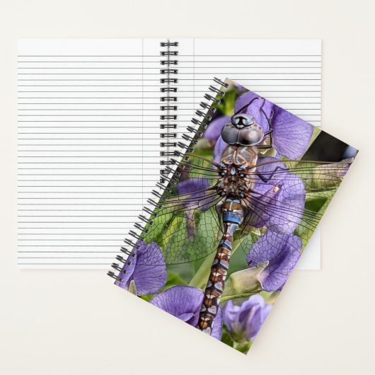 Blauer Mit Augen Darner Dragonfly auf der Blume Notizblock (Innen)