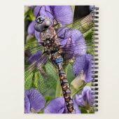 Blauer Mit Augen Darner Dragonfly auf der Blume Notizblock (Rückseite)