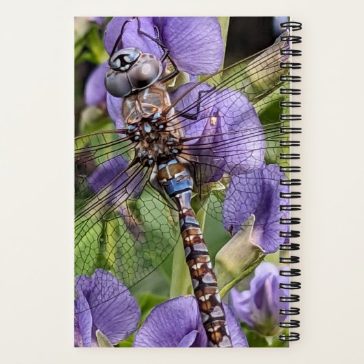 Blauer Mit Augen Darner Dragonfly auf der Blume Notizblock (Rückseite)