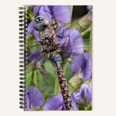 Blauer Mit Augen Darner Dragonfly auf der Blume Notizblock (Vorderseite)