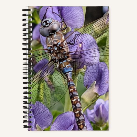 Blauer Mit Augen Darner Dragonfly auf der Blume Notizblock (Vorderseite)