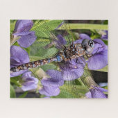 Blauer Mit Augen Darner Dragonfly auf der Blume Puzzle (Horizontal)
