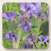 Blauer Mit Augen Darner Dragonfly auf Purple Flowe Getränkeuntersetzer (Vorderseite)