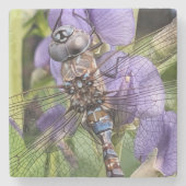 Blauer Mit Augen Darner Dragonfly auf Purple Flowe Steinuntersetzer (Vorderseite)