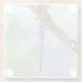 Blauer mit Augen Darner Dragonfly Glasuntersetzer (Rückseite)