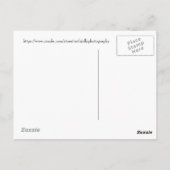 Blauer mit Augen Darner Dragonfly Postkarte (Rückseite)