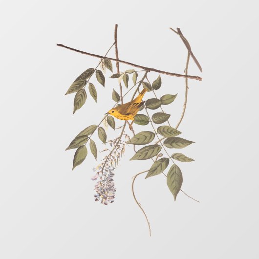 Blauer Mit Augen Gelber Audubon-Vogel auf Wisteria Fensteraufkleber (Blatt)