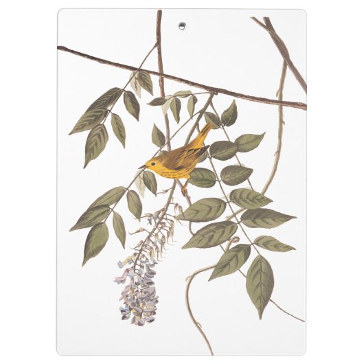 Blauer Mit Augen Gelber Audubon-Vogel auf Wisteria Klemmbrett (Rückseite)