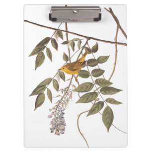 Blauer Mit Augen Gelber Audubon-Vogel auf Wisteria Klemmbrett