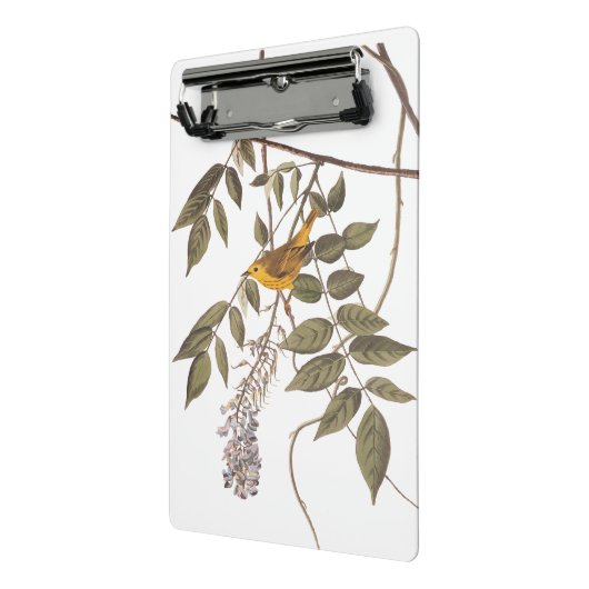 Blauer Mit Augen Gelber Audubon-Vogel auf Wisteria Mini Klemmbrett (Gewinkelt2)