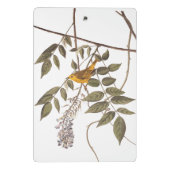 Blauer Mit Augen Gelber Audubon-Vogel auf Wisteria Mini Klemmbrett (Rückseite)