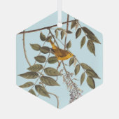 Blauer Mit Augen Gelber Audubon-Vogel auf Wisteria Ornament Aus Glas (Rückseite)