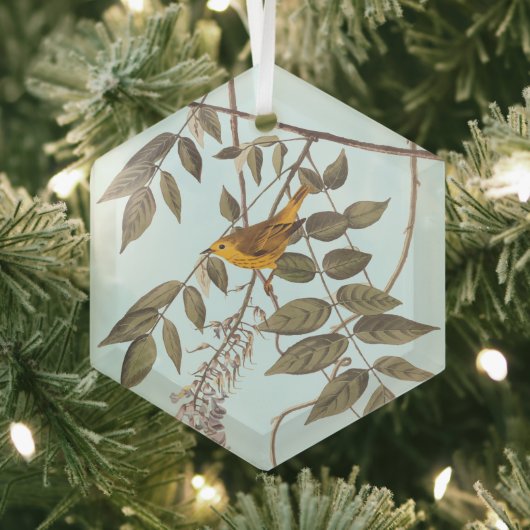 Blauer Mit Augen Gelber Audubon-Vogel auf Wisteria Ornament Aus Glas (Insitu)