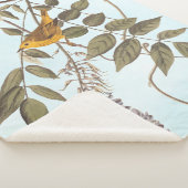 Blauer Mit Augen Gelber Audubon-Vogel auf Wisteria Sherpadecke (3/4)