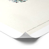 Blauer mit Augen Gelber Warbler von Audubon Poster (Ecke)