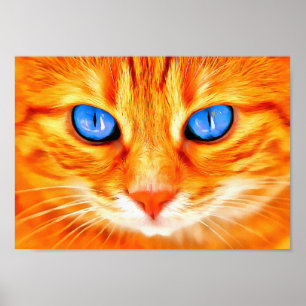Blauer mit Augen Katze Poster