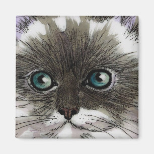 Blauer mit Augen Katzen-Magnet Magnet