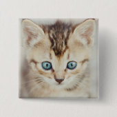 Blauer mit Augen Kitty Button (Vorderseite)