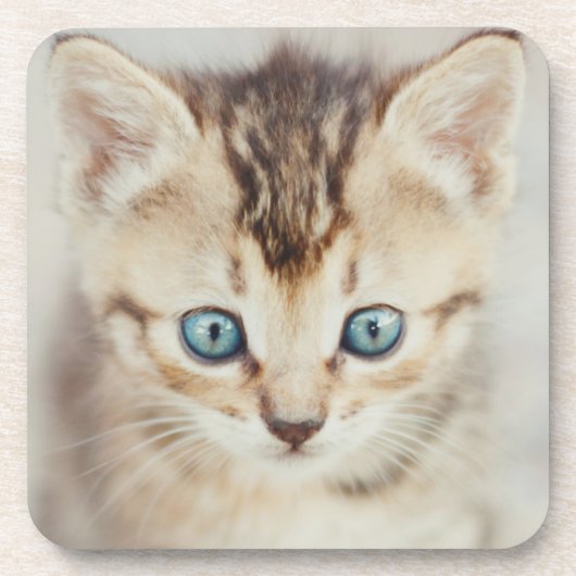 Blauer mit Augen Kitty Getränkeuntersetzer (Vorderseite)